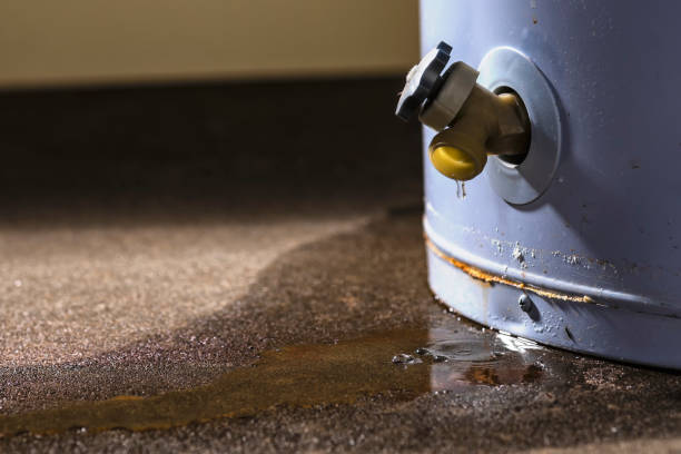 Best Water damage restoration experts  in Honesdale, PA