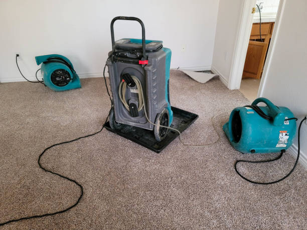 Best Commercial water damage restoration  in Honesdale, PA