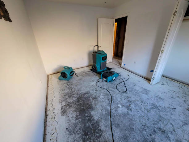 Best Carpet water damage restoration  in Honesdale, PA