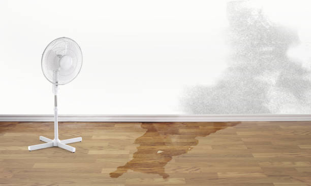 Best Water damage restoration process  in Honesdale, PA