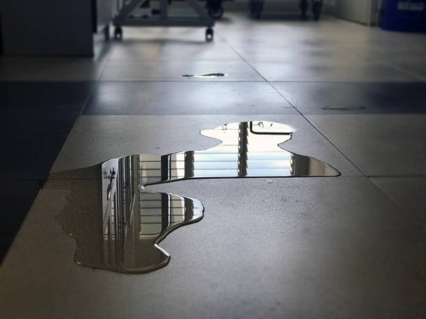 Best 24/7 water damage repair  in Honesdale, PA