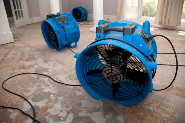  Honesdale, PA Water damage restoration Pros