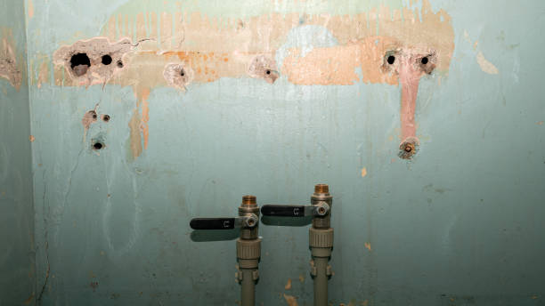 Best Residential water damage restoration  in Honesdale, PA