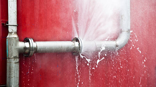 Best Ceiling water damage repair  in Honesdale, PA